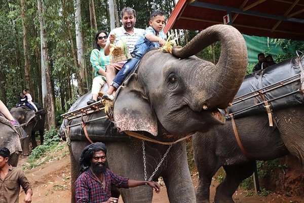 Carmelagiri-Elephant-Park
