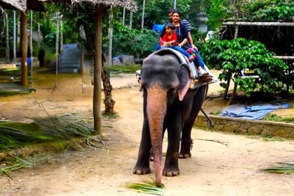 Mayiladuthurai to Thekkady and Munnar Taxi Service
