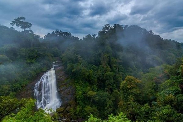 Mayiladuthurai to Thekkady and Munnar Taxi Service