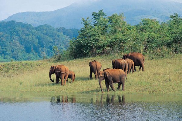 Periyar-National-Park